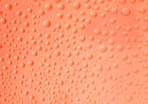 Raindrops on a window Stock Photos