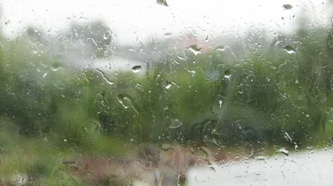 Raindrops on the window Stock Photos