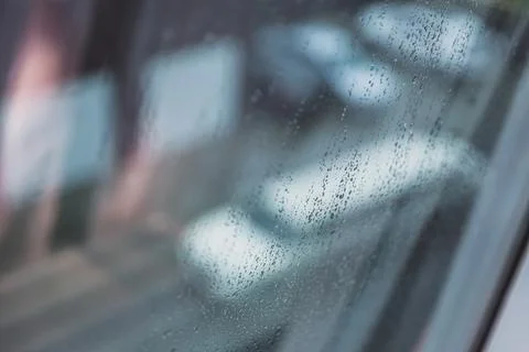 Raindrops on the window Stock Photos