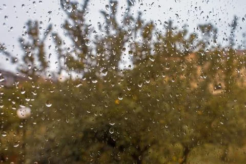 Raindrops on Window Stock Photos