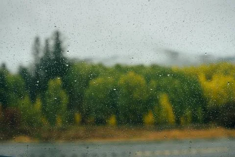 Raindrops on the window Stock Photos
