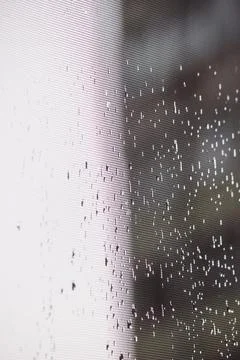 Raindrops on window screen mesh with soft light contrast and bokeh 库存照片