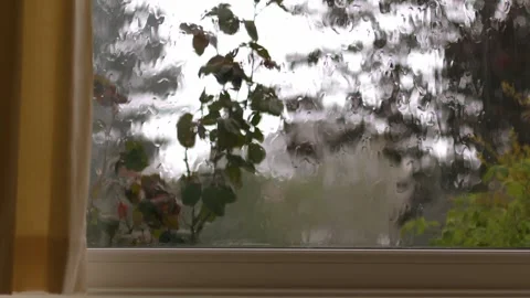 Raindrops on window in storm on view from home Stock Footage 273371186