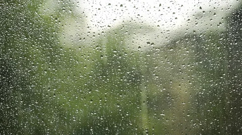 Raindrops on a window in the summer Stock Footage 50593056