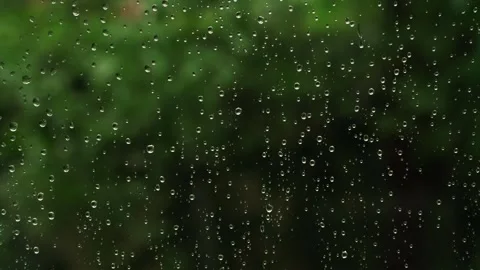 Raindrops on a Window Surrounded by a Lush Green Background Scene Vídeo Stock 290044003