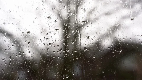 Raindrops on the window, tree on the background Stock-Footage 128131936