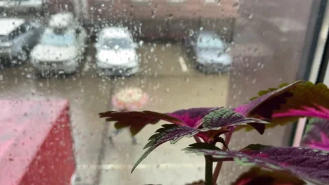 Raindrops on the window. View of the rain from the window of the apartment Stock Footage 237621463