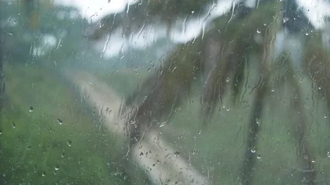 Raindrops on the windows, palm tree and country road outside Dominican Republic. Stock Footage 137833513
