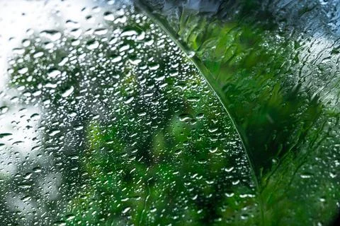 Raindrops on the windshield of a car. Small depth of field. Stock Photos