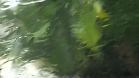 Raindrops on Windshield Stock Footage 288043812