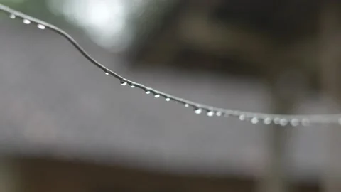Raindrops on wire strings with blur background Stock Footage 219422199