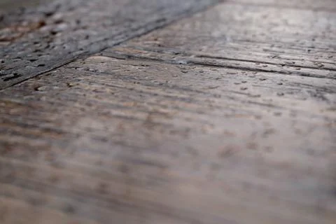 Raindrops on wood. Stock Photos