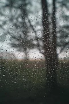 Rain,Drops,On,The,Windshield,With,A,Forest,Background Stock Photos