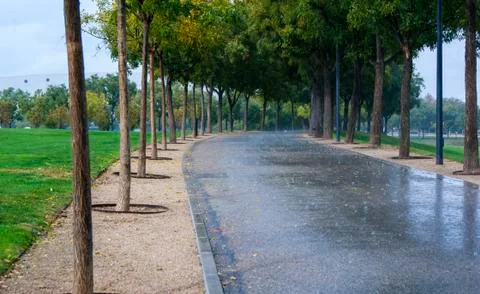 Rained wet path in park surrounded by grass Stock Photos