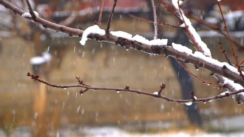 Rainfall background Vídeo Stock 122194984