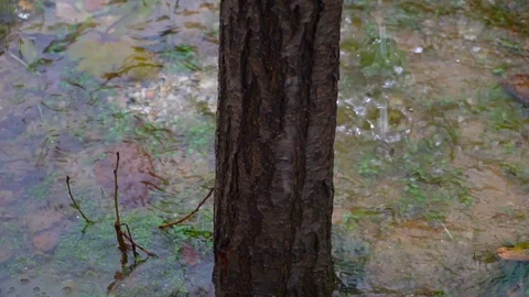 Rainfall background 動画素材 122195886