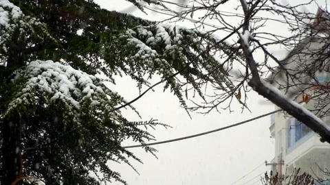 Rainfall background Stock Footage 122196021