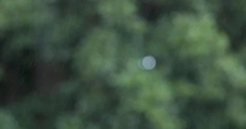 Rainfall close up on our of focus green background Video stock 126306704