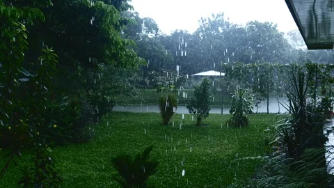 Rainfall coming down Stock Footage 126551476