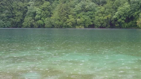 Rainfall Creating Ripples on Plitvice Lakes Surface Video stock 310960878