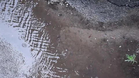 Rainfall the Creek. Video stock 49965103