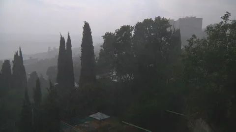 Rainfall in Crimea Stock Footage 45599605