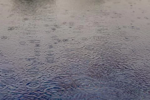 Rainfall with drops and concentric waves on the surface of a pool Stock Photos