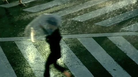 Rainfall during a typhoon. Video stock 8682688