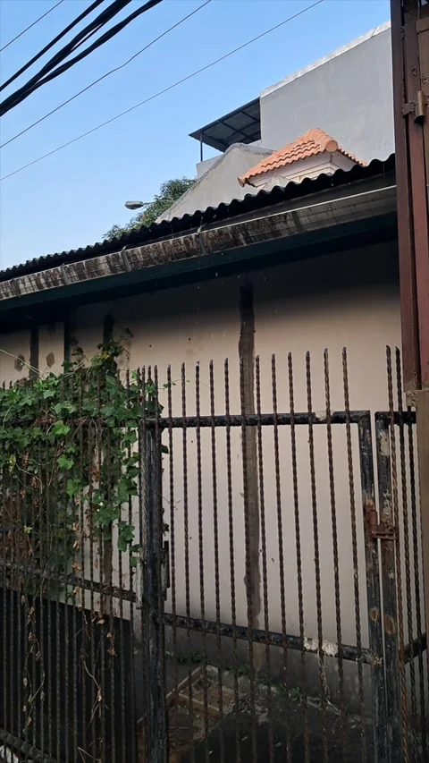 Rainfall Falling Down on Residential Yard During Daytime Video stock 341411538
