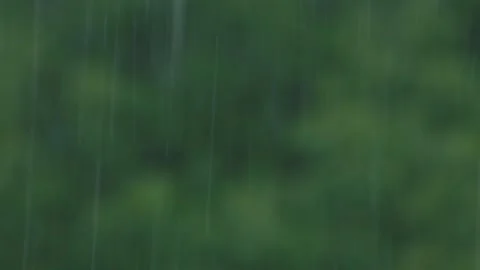 Rainfall falling in front of blurred green forest background Stock Footage 332464623