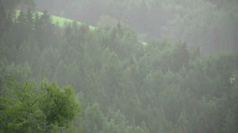 Rainfall Видео 31022006