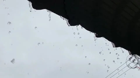 Rainfall Stock Footage 157704172
