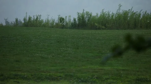 Rainfall on Grassy Field with Mountains in Background, Tree in Foreground Stock Footage 127259713