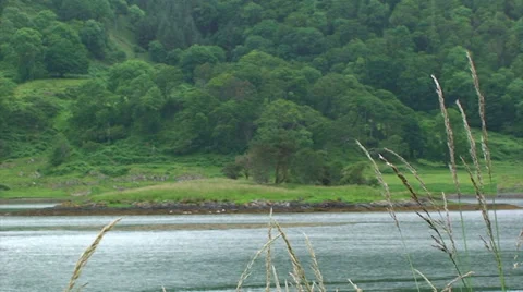Rainfall on green Scottish loch, wind moves grass Stock Footage 39614286