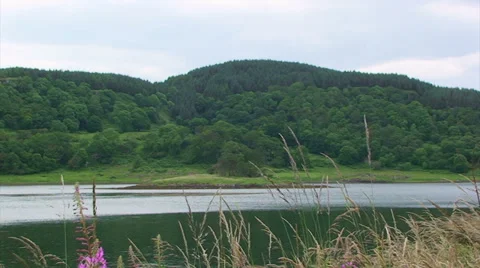 Rainfall on green Scottish loch, wind moves grass &amp; flower Stock Footage 39614328