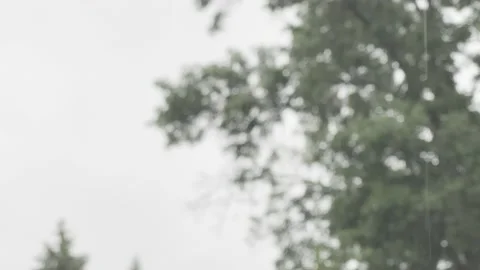 Rainfall in Nature Stock Footage 156408815