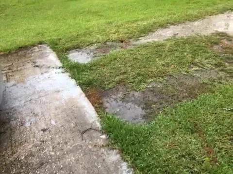 Rainfall in North Central Florida Stock Footage 156210129