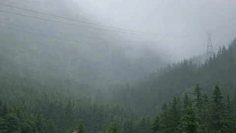 Rainfall over a pine tree forest high into the mountains on a summer day Video stock 156950466