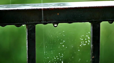 Rainfall over a spiders web Stock Footage 42787521