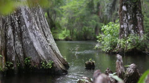 Rainfall On Pond Stock Footage 26602239