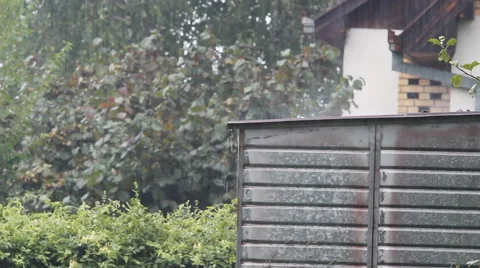 Rainfall. Summer Storm. Stock Footage 40689990