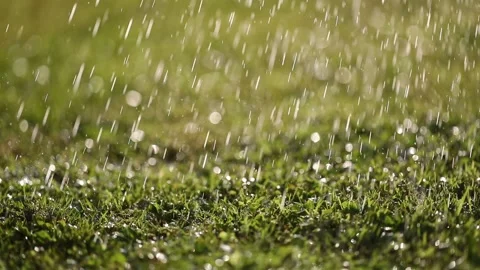 Rainfall on sunny green mowed grass Stock Footage 231900291
