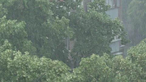 Rainfall, with trees and a house in the background, 8K with natural sound. Stock Footage 336727646