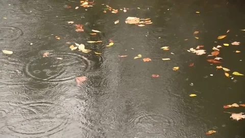 Rainfall on water Stock Footage 83098493