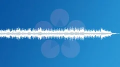 Rainforest (1 min 15 sec)Stock Music
