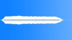 The rainforest 1Sound Effect