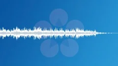 Rainforest (30 sec. clip) Stock Music