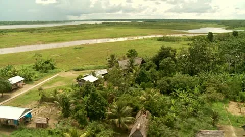 Rainforest from above Stock Footage 10810152