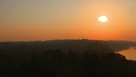Rainforest - Amazon - Dawn - Pan - 2 Stock Footage 72731225