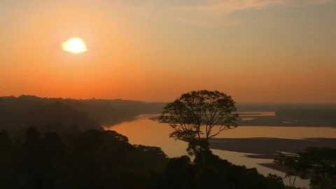 Rainforest - Amazon - Dawn - Pan Stock-Footage 72737569